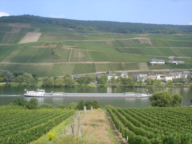 030 - PAYSAGE DES BORDS DE LA MOSELLE 11.JPG
